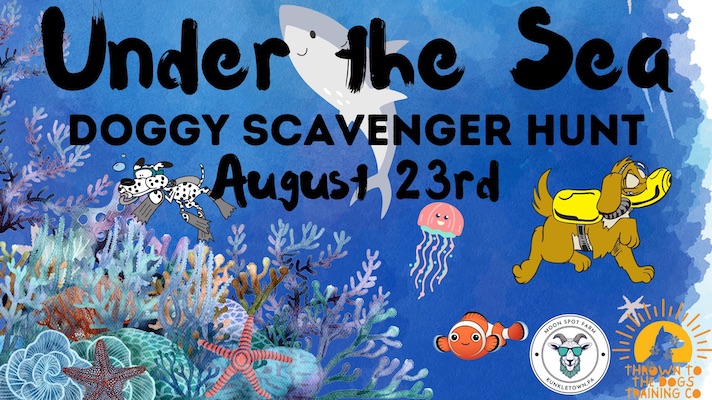 Event banner