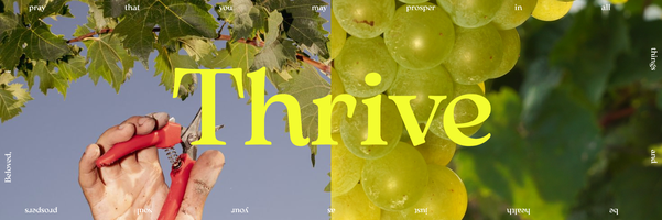 2027 State Conference "THRIVE"